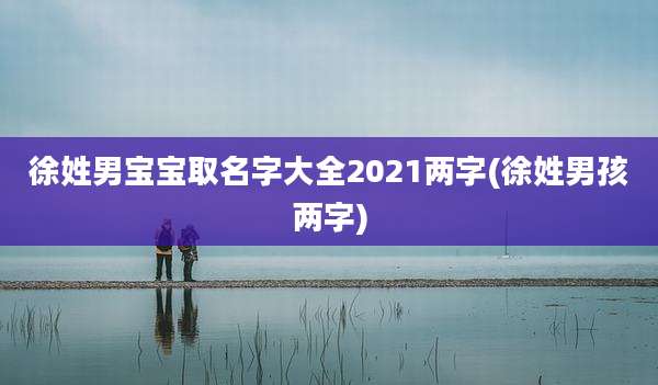 徐姓男宝宝取名字大全2021两字(徐姓男孩两字)