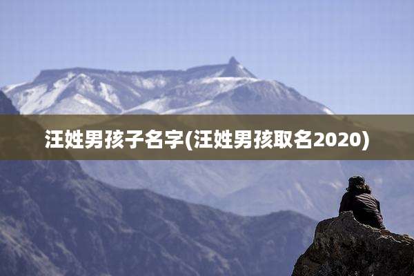 汪姓男孩子名字(汪姓男孩取名2020)