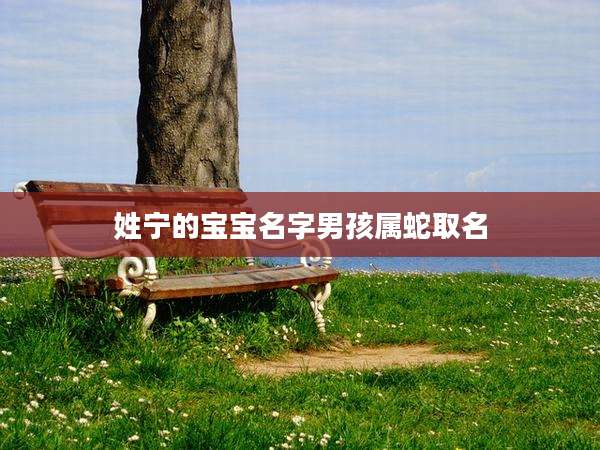 姓宁的宝宝名字男孩属蛇取名