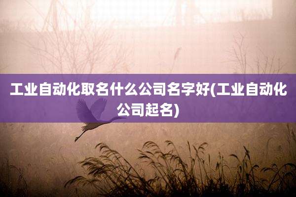 工业自动化取名什么公司名字好(工业自动化公司起名)