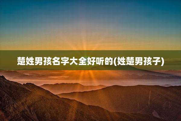 楚姓男孩名字大全好听的(姓楚男孩子)