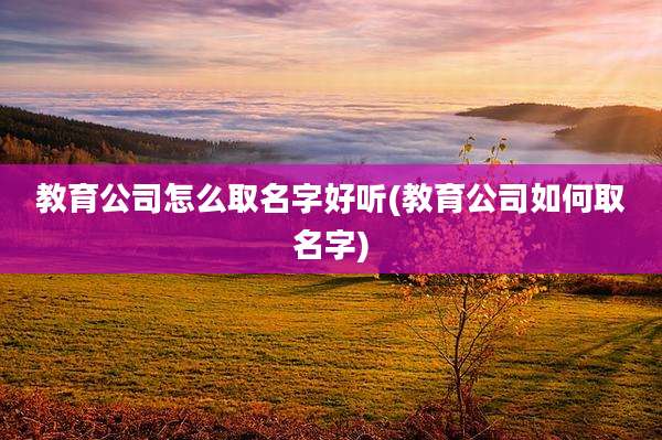 教育公司怎么取名字好听(教育公司如何取名字)