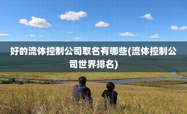 好的流体控制公司取名有哪些(流体控制公司世界排名)