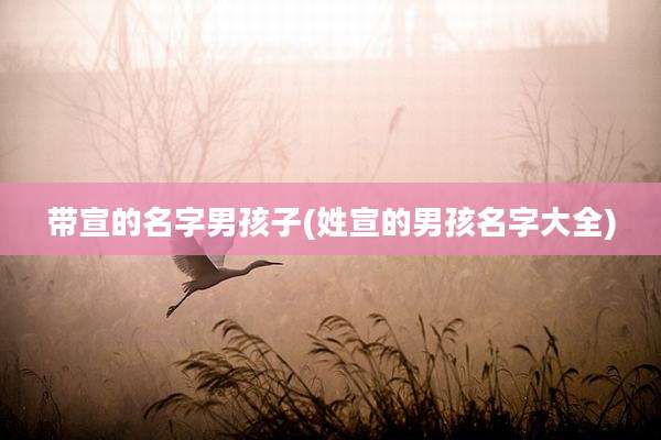 带宣的名字男孩子(姓宣的男孩名字大全)