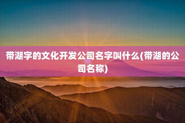 带湖字的文化开发公司名字叫什么(带湖的公司名称)