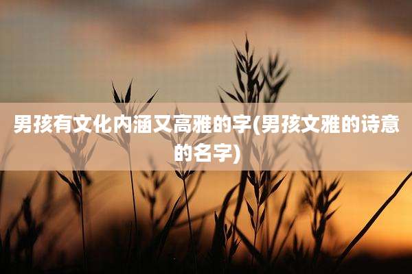 男孩有文化内涵又高雅的字(男孩文雅的诗意的名字)