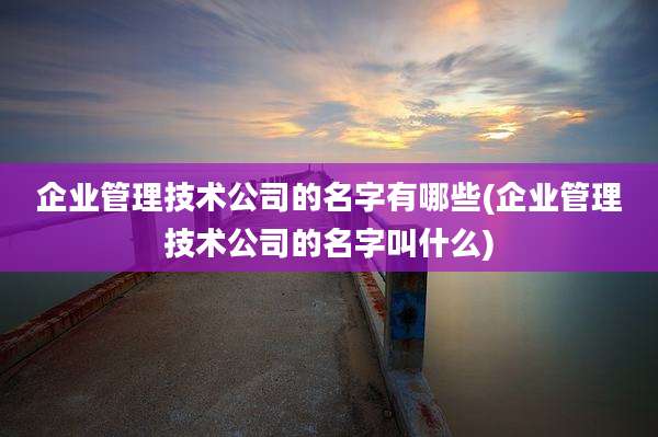 企业管理技术公司的名字有哪些(企业管理技术公司的名字叫什么)
