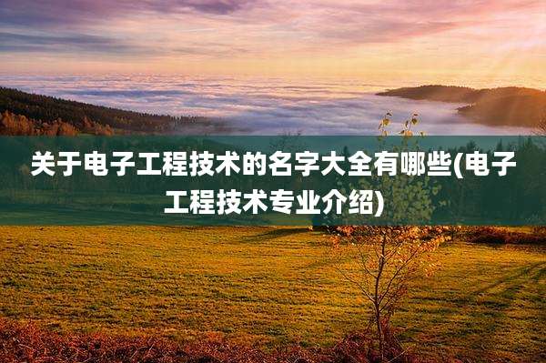 关于电子工程技术的名字大全有哪些(电子工程技术专业介绍)