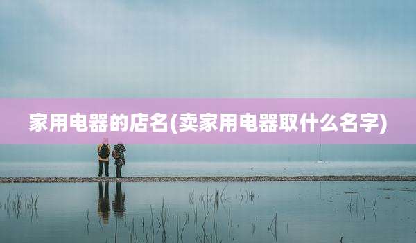 家用电器的店名(卖家用电器取什么名字)