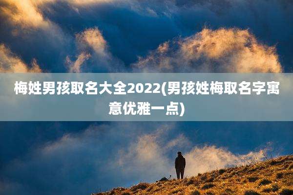 梅姓男孩取名大全2022(男孩姓梅取名字寓意优雅一点)
