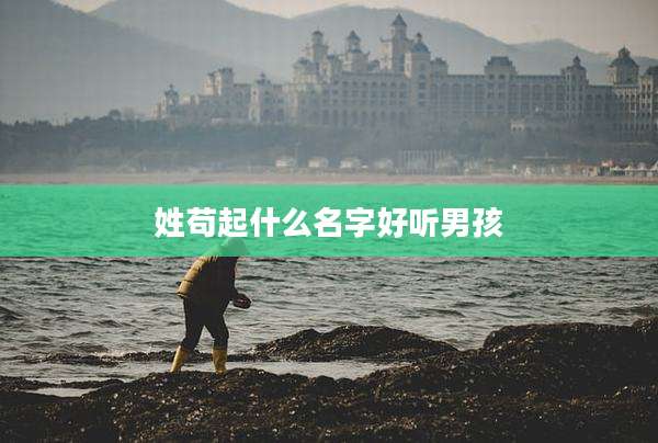 姓苟起什么名字好听男孩