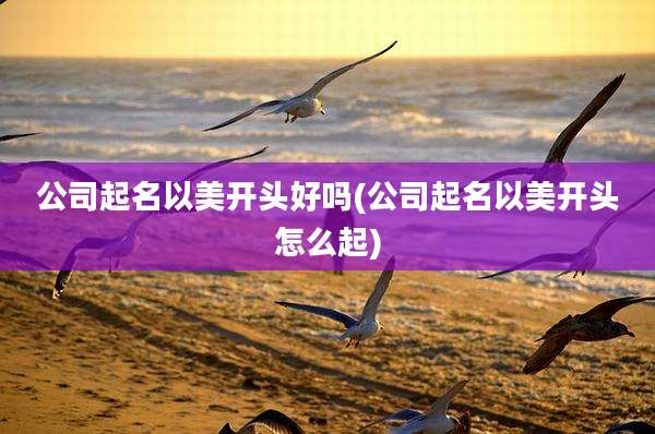 公司起名以美开头好吗(公司起名以美开头怎么起)