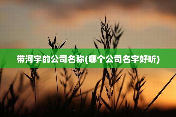 带河字的公司名称(哪个公司名字好听)