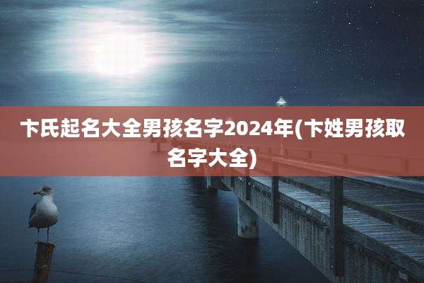 卞氏起名大全男孩名字2024年(卞姓男孩取名字大全)