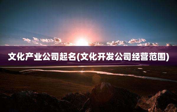 文化产业公司起名(文化开发公司经营范围)