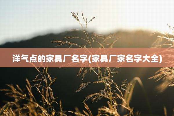 洋气点的家具厂名字(家具厂家名字大全)