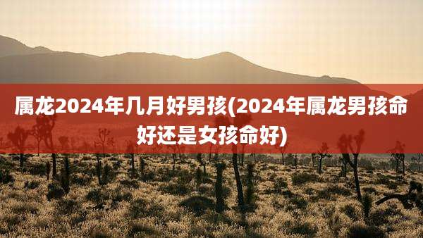 属龙2024年几月好男孩(2024年属龙男孩命好还是女孩命好)