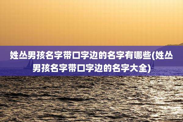 姓丛男孩名字带口字边的名字有哪些(姓丛男孩名字带口字边的名字大全)