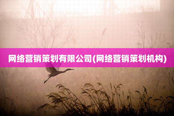 网络营销策划有限公司(网络营销策划机构)