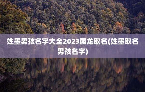 姓墨男孩名字大全2023属龙取名(姓墨取名男孩名字)