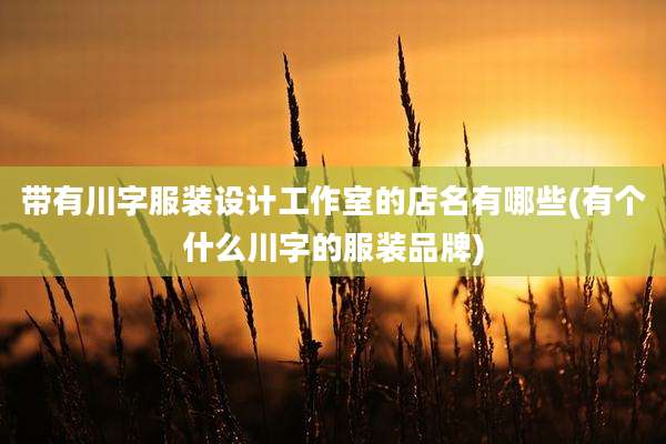 带有川字服装设计工作室的店名有哪些(有个什么川字的服装品牌)