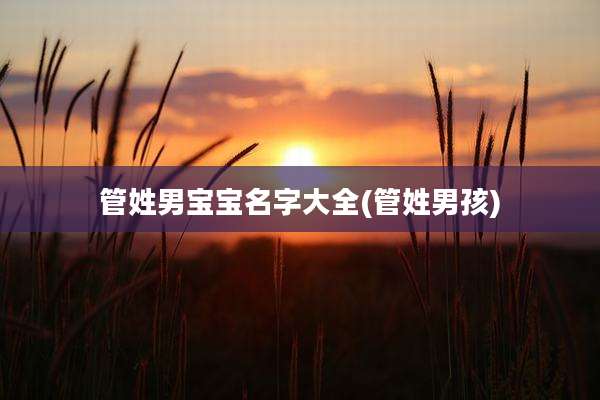 管姓男宝宝名字大全(管姓男孩)