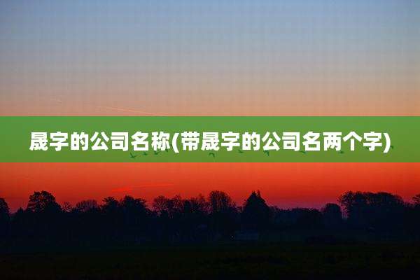 晟字的公司名称(带晟字的公司名两个字)