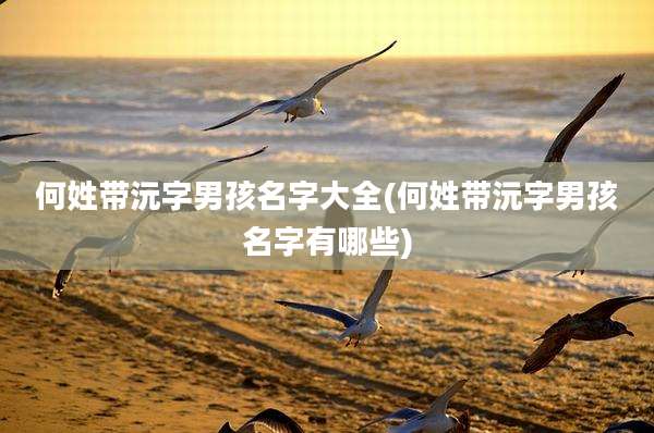 何姓带沅字男孩名字大全(何姓带沅字男孩名字有哪些)