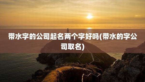 带水字的公司起名两个字好吗(带水的字公司取名)