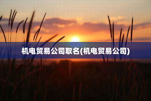 机电贸易公司取名(机电贸易公司)