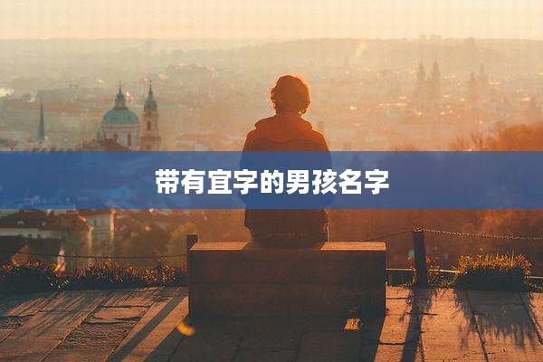 带有宜字的男孩名字