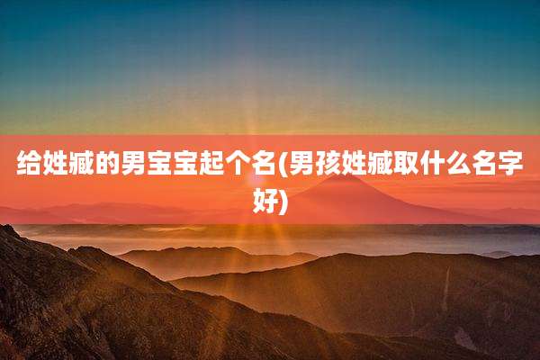 给姓臧的男宝宝起个名(男孩姓臧取什么名字好)