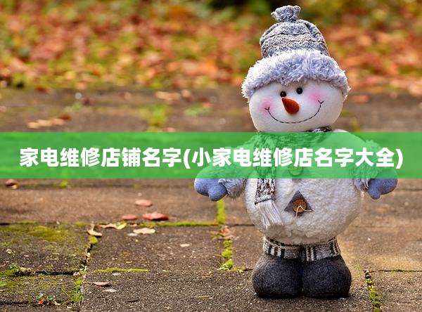 家电维修店铺名字(小家电维修店名字大全)