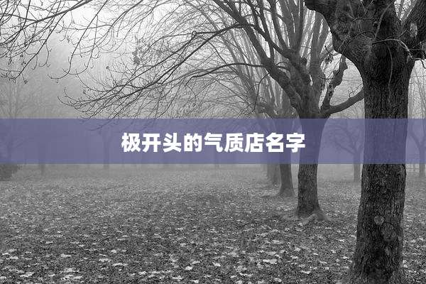 极开头的气质店名字