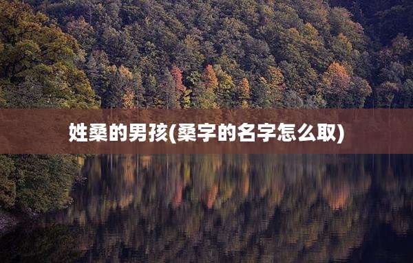 姓桑的男孩(桑字的名字怎么取)