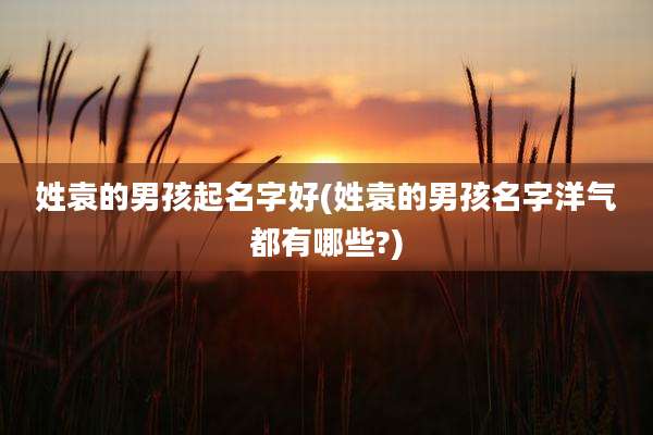 姓袁的男孩起名字好(姓袁的男孩名字洋气都有哪些?)