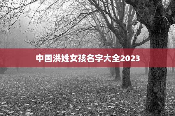 中国洪姓女孩名字大全2023