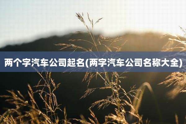 两个字汽车公司起名(两字汽车公司名称大全)