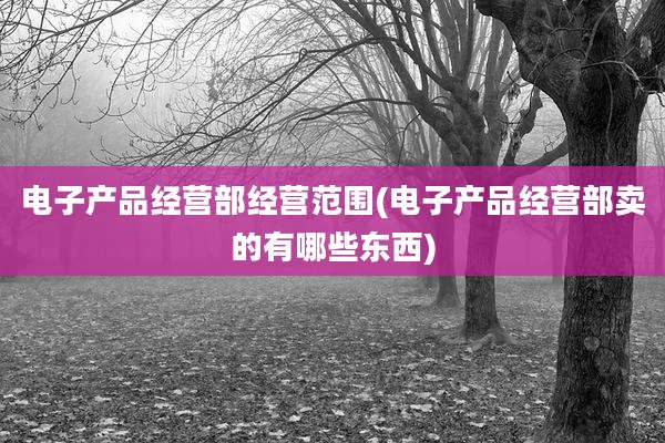 电子产品经营部经营范围(电子产品经营部卖的有哪些东西)