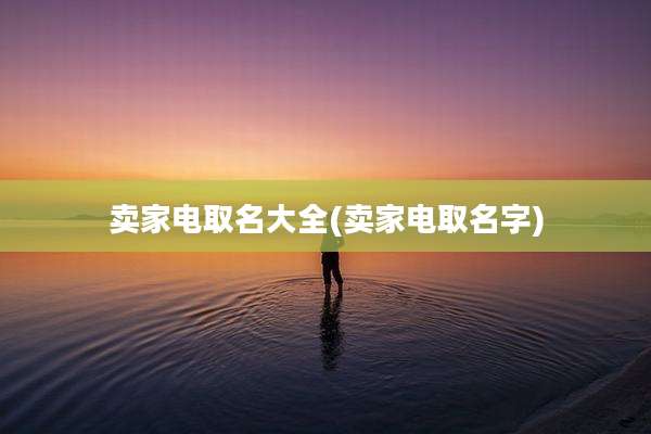 卖家电取名大全(卖家电取名字)