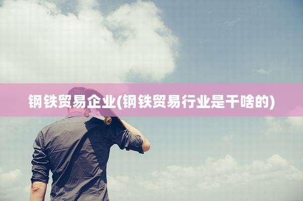 钢铁贸易企业(钢铁贸易行业是干啥的)