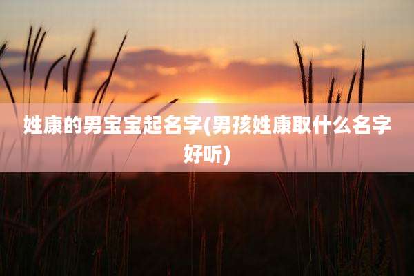 姓康的男宝宝起名字(男孩姓康取什么名字好听)
