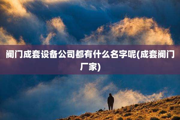 阀门成套设备公司都有什么名字呢(成套阀门厂家)