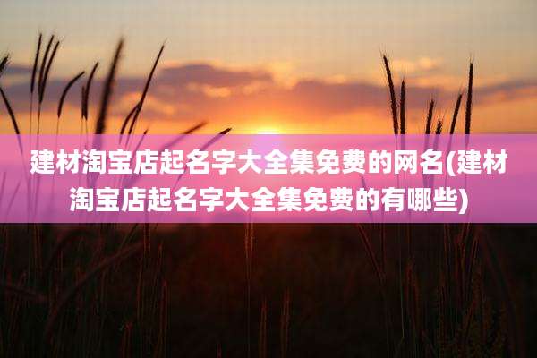 建材淘宝店起名字大全集免费的网名(建材淘宝店起名字大全集免费的有哪些)