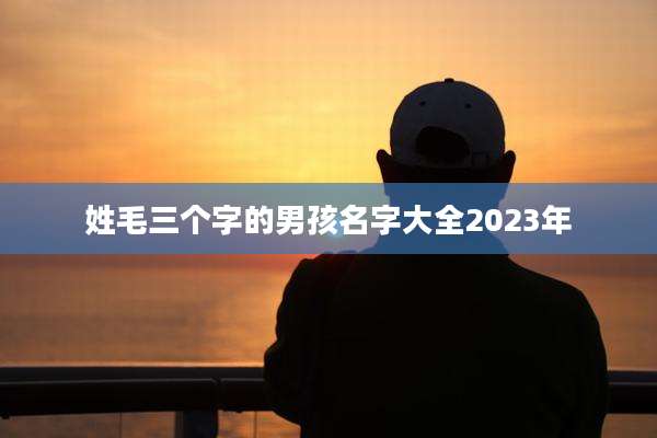 姓毛三个字的男孩名字大全2023年