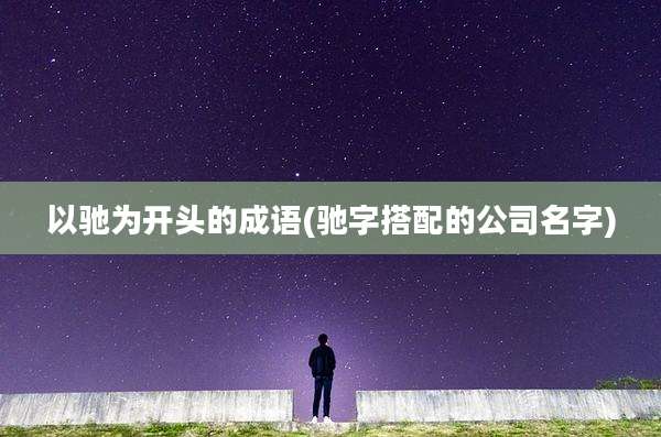 以驰为开头的成语(驰字搭配的公司名字)