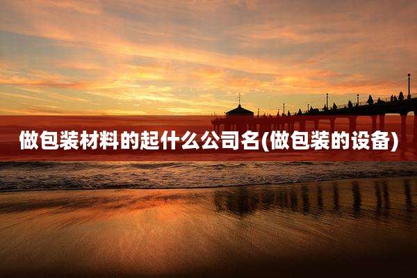做包装材料的起什么公司名(做包装的设备)