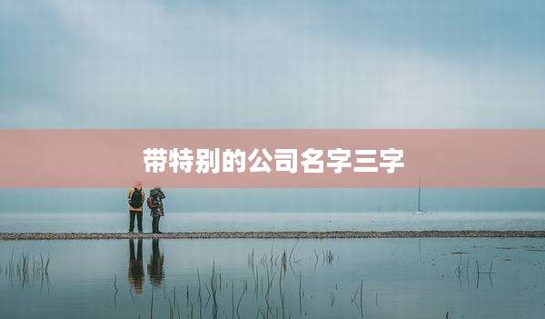 带特别的公司名字三字