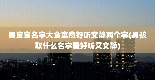 男宝宝名字大全寓意好听文静两个字(男孩取什么名字最好听又文静)