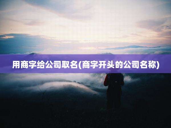 用商字给公司取名(商字开头的公司名称)